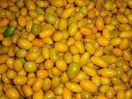 தமிழர் பகுதியில் மொபைல்....மோட்டார் சைக்கிள் என ஊர்சுற்றும் பிள்ளைகளுக்கு மத்தியில் இப்படியும் இருவர்!