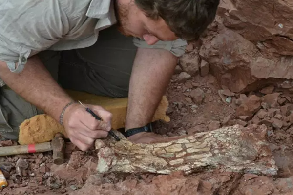 8.6 கோடி ஆண்டுகளுக்கு முன் வாழ்ந்த டைனோசார் கண்டுபிடிப்பு!